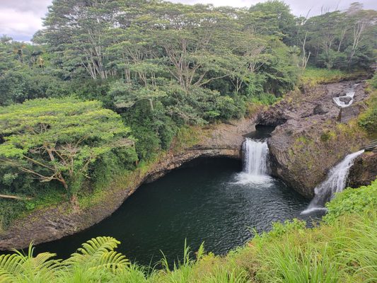 O.K. Farms Hawai'i by null