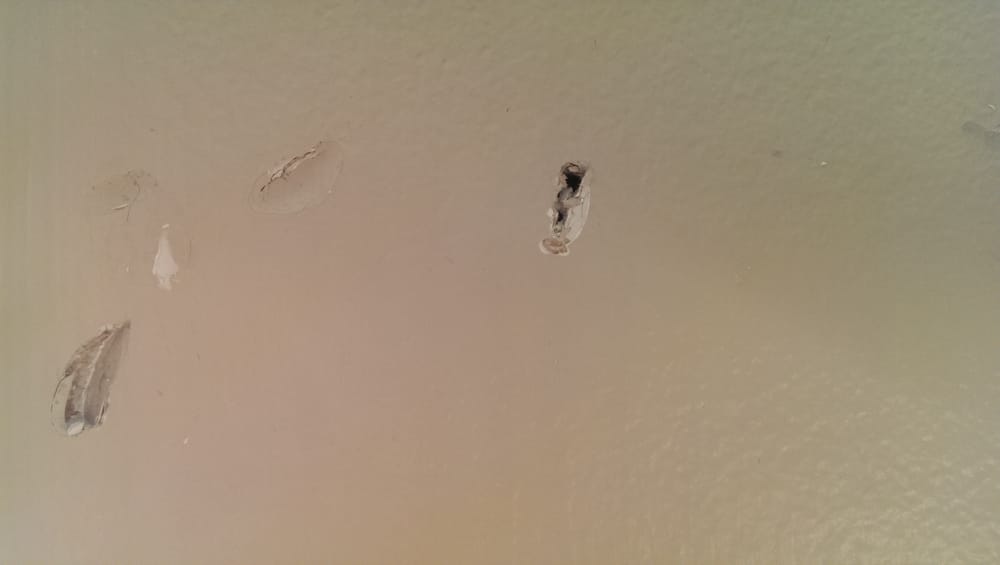 DEAD PEST SOCIETY Updated June 2024 6373 Burnt Poplar Rd