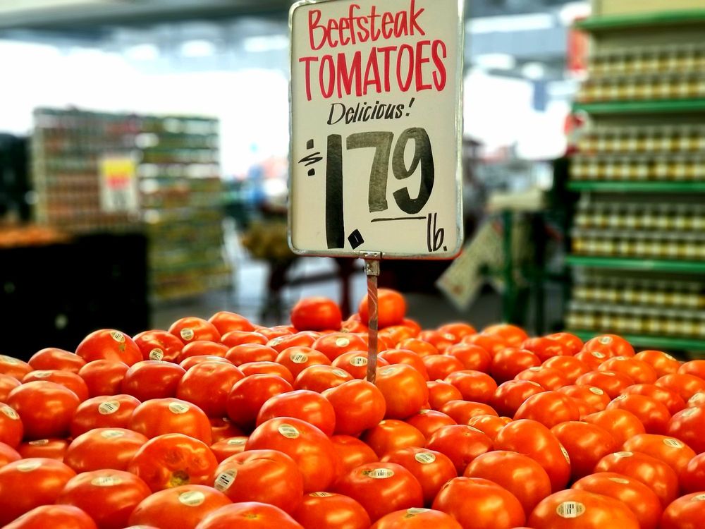 CARPINITO BROTHERS 308 Photos & 169 Reviews Nurseries & Gardening