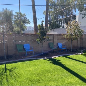 B&G Landscaping - Before - Lawn Area - Landscaping Near Me