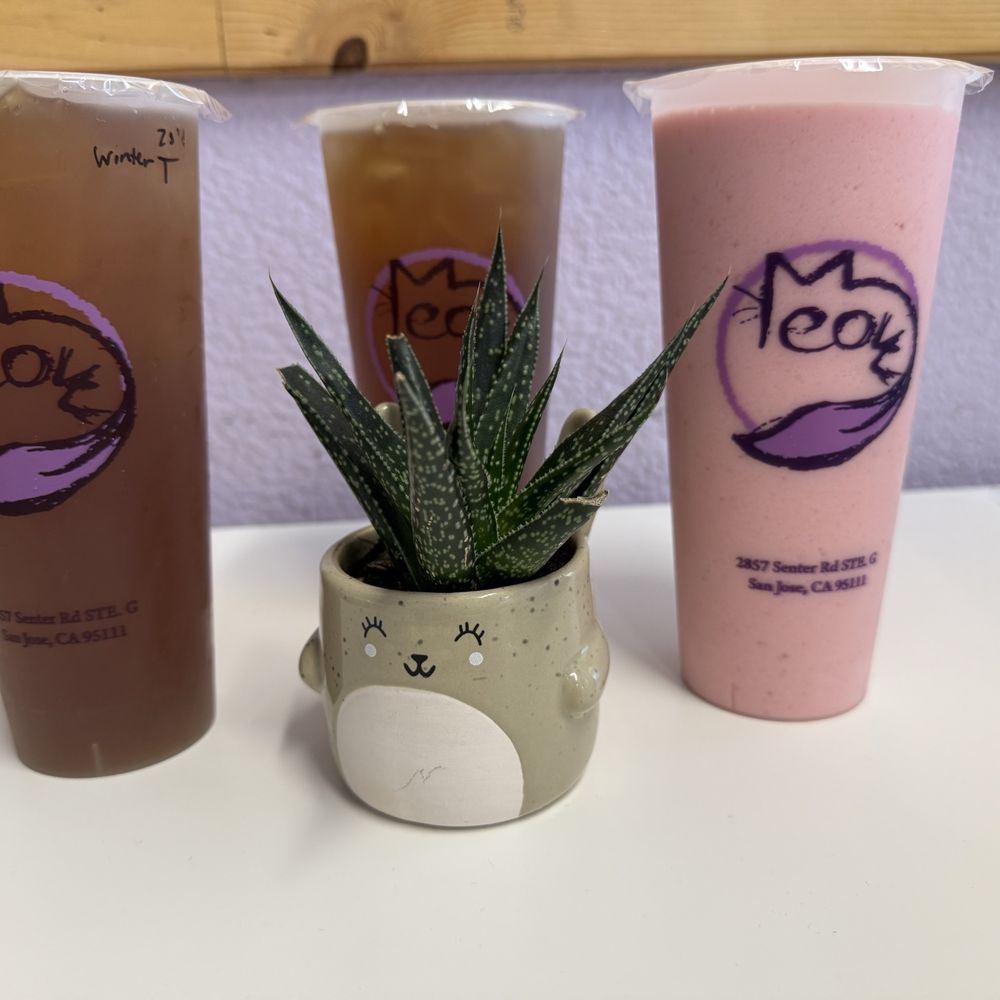 Meow Tea - 2 winter mellow and strawberry drinks - Asian Fusion Near Me - San Jose, California Meow Tea - 2 winter mellow and strawberry drinks - Asian Fusion Near Me - San Jose, California