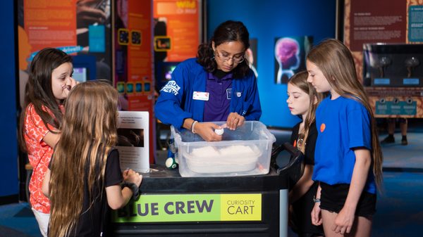 Arizona Science Center by null