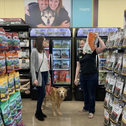 mobile dog groomers somerset