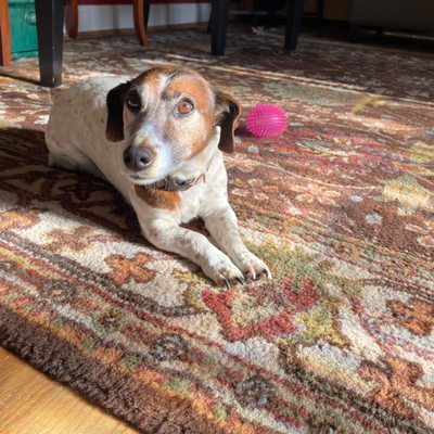 Inn at Huntingfield Creek and Getaway Cottages by null