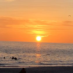 In Cahoots - Cahoots is a great way to top off your day at the beach