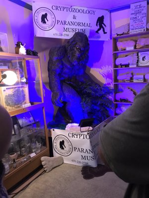 The Cryptozoology & Paranormal Museum by null