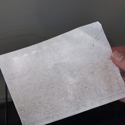 Buchanan Property Management - Lint roller sheet from couch