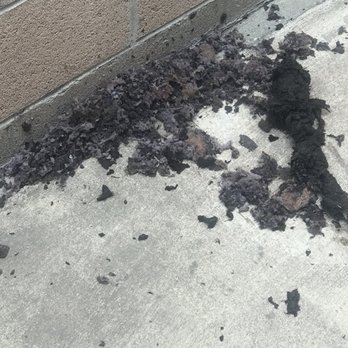 The Dryer Vent Experts - Accumulated lint - Air Duct Cleaning Near Me The Dryer Vent Experts - Accumulated lint - Air Duct Cleaning Near Me