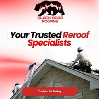 Black Bear Roofing - Roofing Near Me - Asheville, North Carolina Black Bear Roofing - Roofing Near Me - Asheville, North Carolina