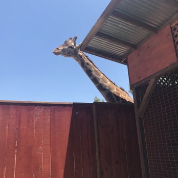 Wildlife Learning Center - Zoos Near Me - Sylmar, California