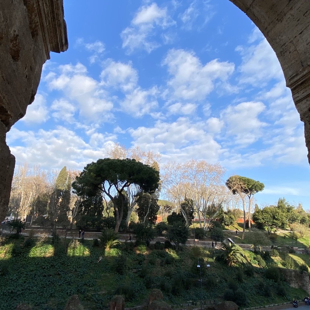 Colosseo - Local Flavor Near Me - Rome, RM