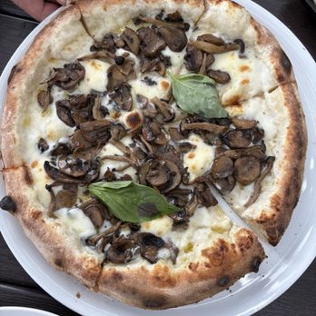 Motorino Enoteca - Funghi pizza - Italian Near Me - Woodbridge, Ontario
