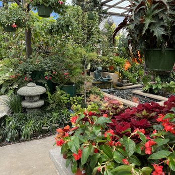 Dana Point Nursery - Nurseries & Gardening Near Me - Dana Point, California Dana Point Nursery - Nurseries & Gardening Near Me - Dana Point, California