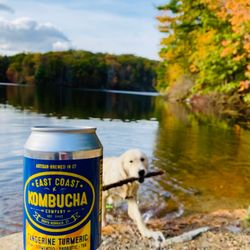 East Coast Kombucha Company - Everyone loves kombucha