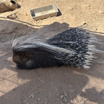 GHOST RANCH EXOTICS AND FUNNY FOOT FARM - Updated March 2026 - 56 ...