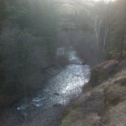 South Fork Walla Walla River Trailhead - South Fork Walla Walla River