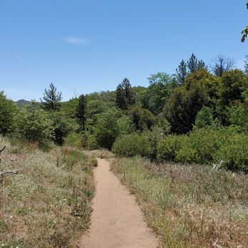 Big Laguna Trail - Hiking Near Me - San Diego, California