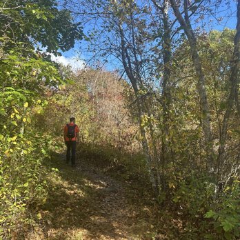Beech Hill Preserve - Perfect weather for a morning hike - Hiking Near Me - Rockport, Maine
