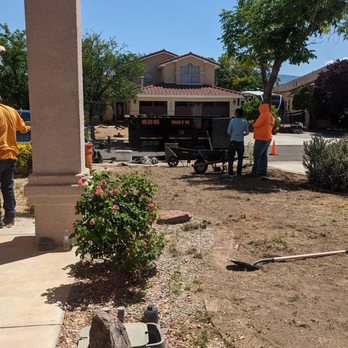 Trees R' Us - During the work - Tree Services Near Me - Albuquerque, New Mexico