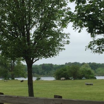 Buckmaster Pond - Buckmaster Pond of Westwood -- 350 Pond Street, Westwood        Park - Lakes Near Me - Westwood, Massachusetts