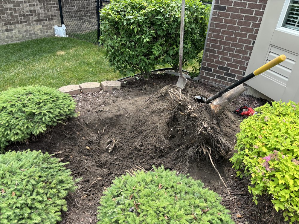 Iron Edge - tree service in Taylor, MI