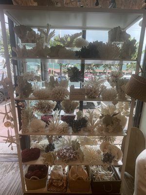 SoHa Living Kailua by null