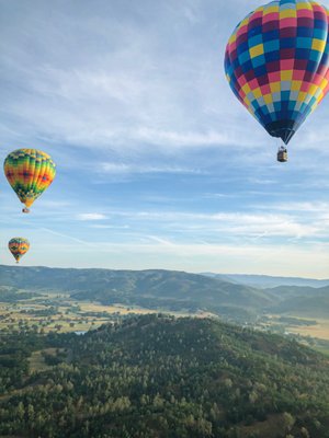 Napa Valley Aloft Hot Air Balloon Rides by null