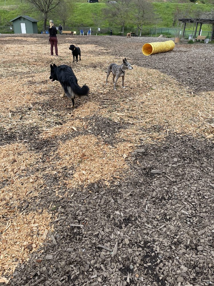 Red Hill Dog Park Logo