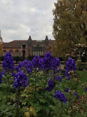 Det Kgl. Bibliotek, The Royal Library by null