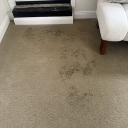 Tony's Carpet Cleaning - We are your best choice throughout the entire Bay Area for deep steam cleaning.