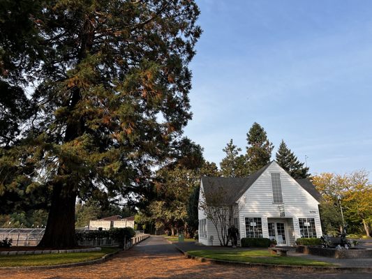 Bonneville Fish Hatchery by null