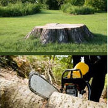 Luxton Tree Service & Land Clearing - Tree Services Near Me - Quakertown, Pennsylvania Luxton Tree Service & Land Clearing - Tree Services Near Me - Quakertown, Pennsylvania