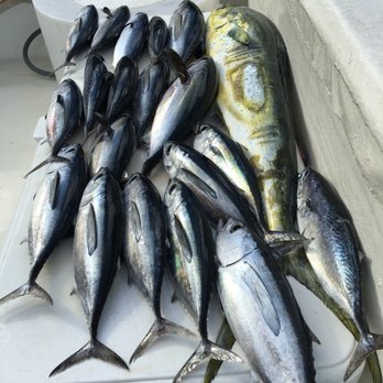 Goddess Charters - Fishing Near Me - Deerfield Beach, Florida