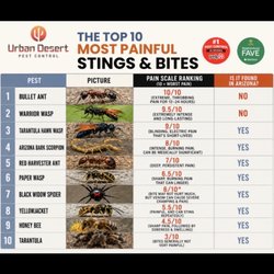 Only 8 of  the 10 most painful pests live in Arizona!