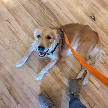 PetSmart - Pet Stores Near Me - Redding, California PetSmart - Pet Stores Near Me - Redding, California