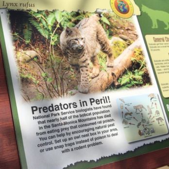 Wildlife Learning Center - Zoos Near Me - Sylmar, California