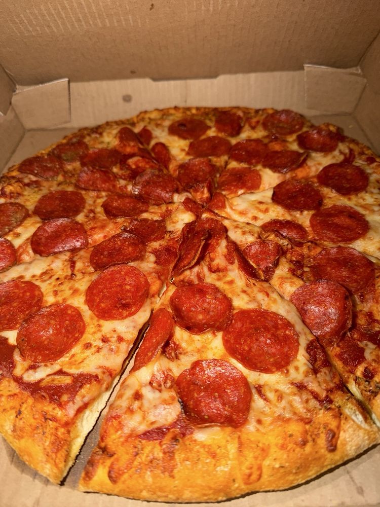 Domino's Pizza Logo