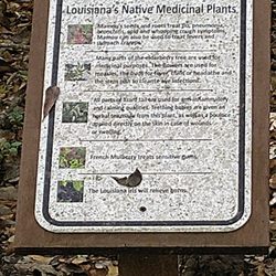 Longfellow-Evangeline State Historic Site