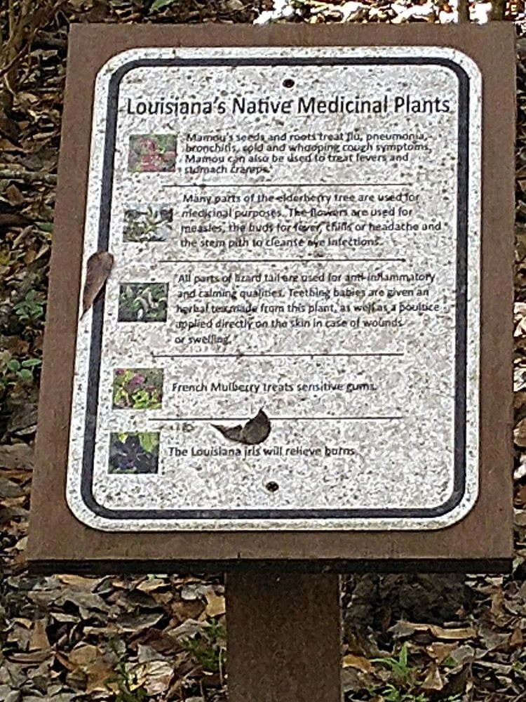 LONGFELLOWEVANGELINE STATE HISTORIC SITE Updated May 2024 20 Photos 1200 N Main St, Saint