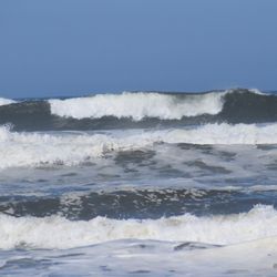 Get Out of Town Tours - Washington Coast