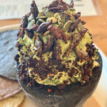 Elemi - Crickets and guacamole - Mexican Near Me - Horizon City, Texas