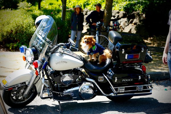 Northwest Film Forum by null