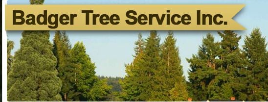 Badger Tree Service - tree service in Hillsboro, OR