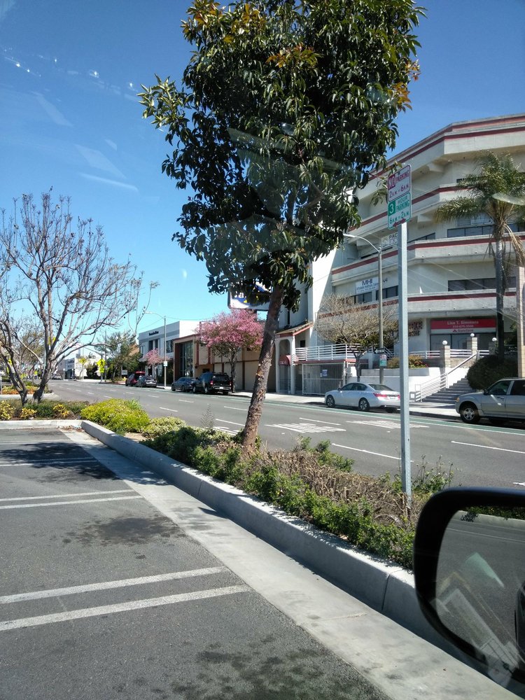 MACIAS SERVICES Updated September 2024 12 Reviews 14623 Hawthorne