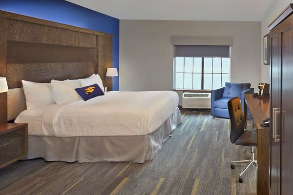 Scholar Morgantown, Tapestry Collection by Hilton by null
