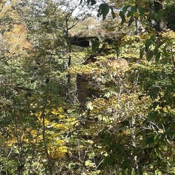 Jug Rock Nature Preserve - Parks Near Me - Shoals, Indiana Jug Rock Nature Preserve - Parks Near Me - Shoals, Indiana