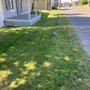 Photo of Green Planet Carpet Cleaning