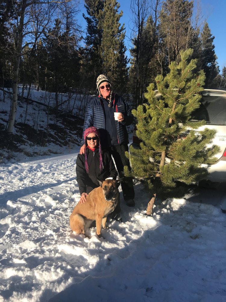 U.S. Forest Service - social services organization in Golden, CO