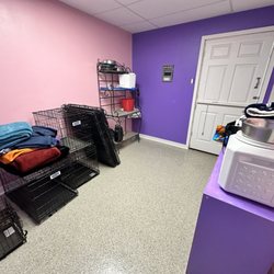 Taylor’s Tails - Storage area