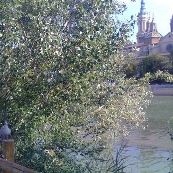 Arboleda de Macanaz - Parks Near Me - Zaragoza, Z